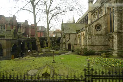 DSC_1373 (Large).JPG